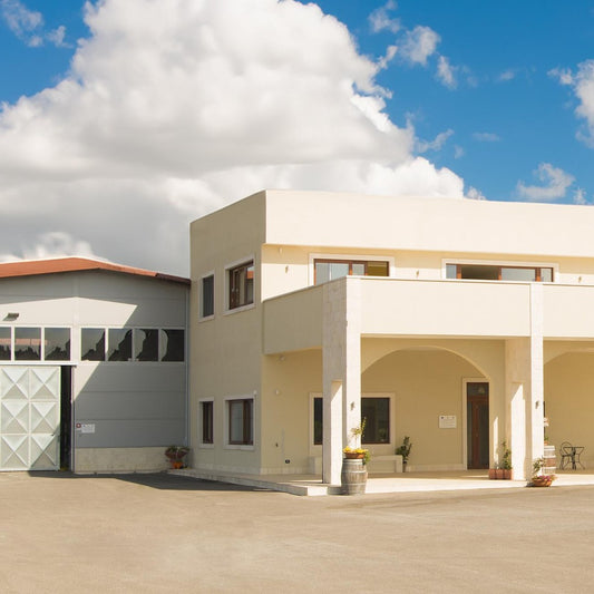 Wine Experience in Conversano –