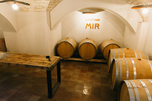 Wine Experience in Locorotondo