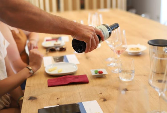 Wine Experience in Trani