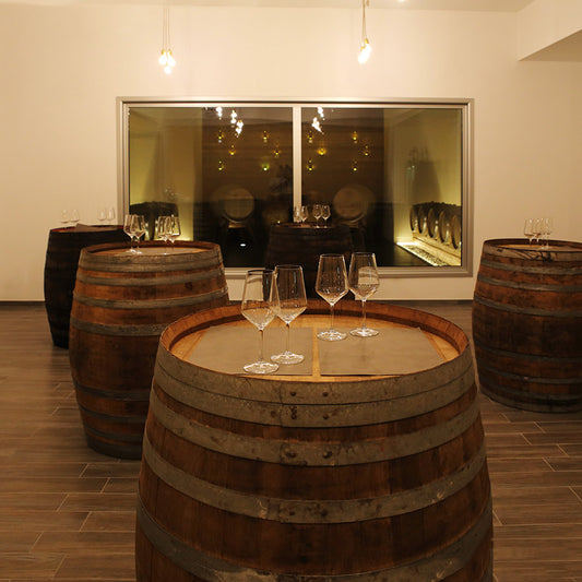 Wine & Food in Castellana