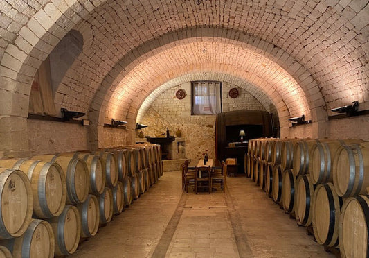 Wine Experience in Putignano